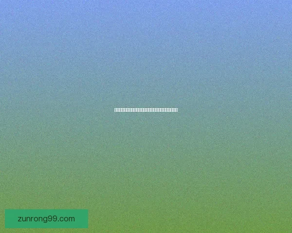 女圣骑加点攻略与技能搭配全面解析助你打造最强圣光战士